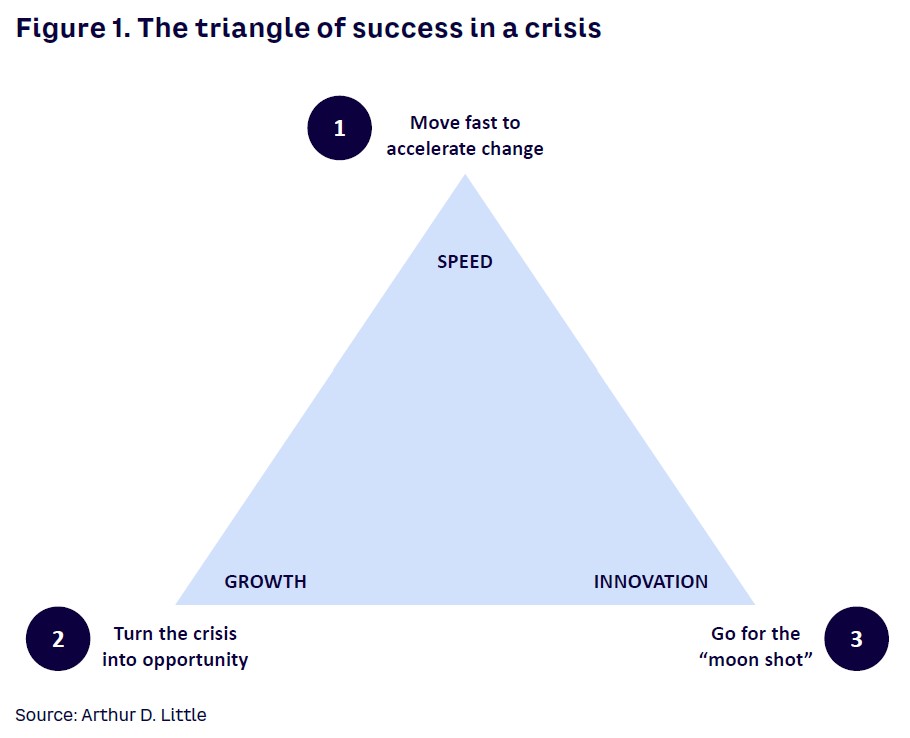 Figure 1. The triangle of success in a crisis