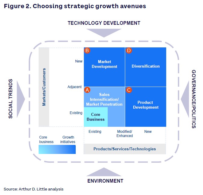 Figure 2. Choosing strategic growth avenues