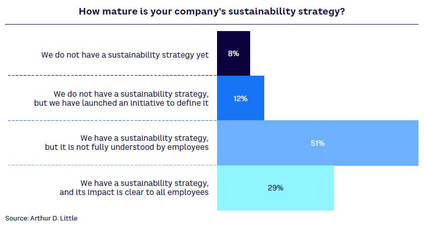 Figure 2. Sustainability strategy maturity