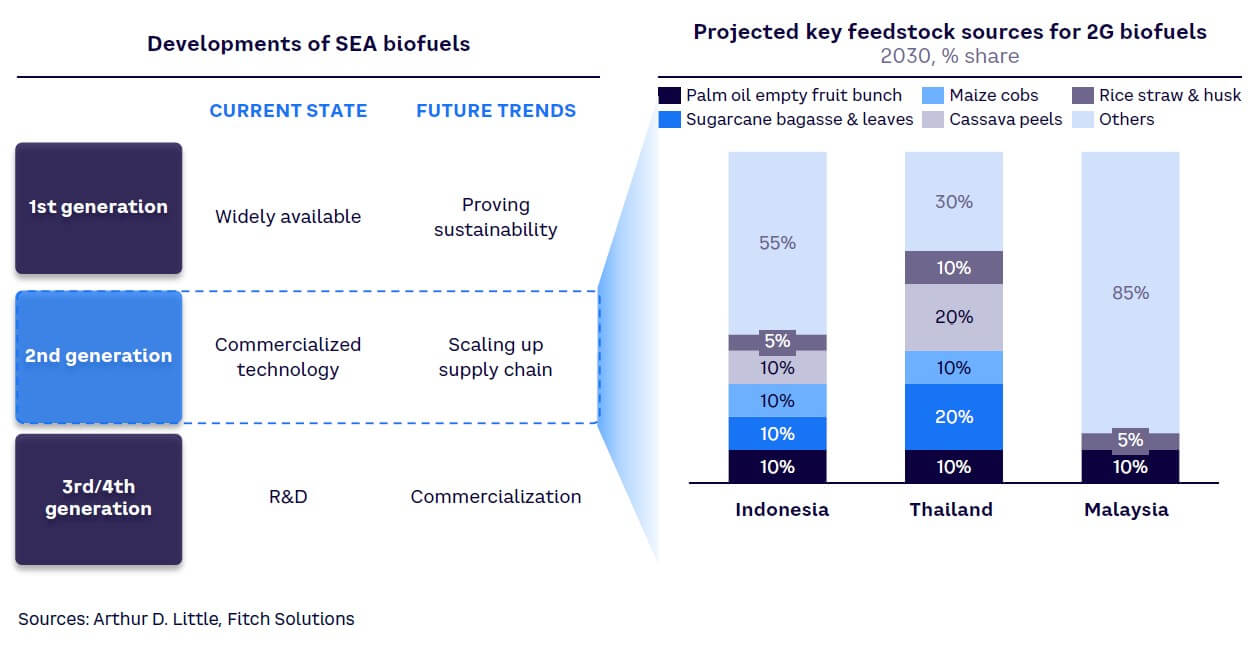 Figure 6. Opportunities for 2G biofuels