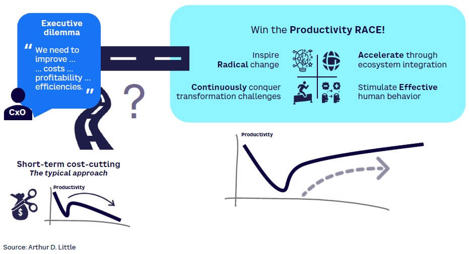 Figure 1. The Productivity RACE addresses the executive dilemma for sustained business performance improvement
