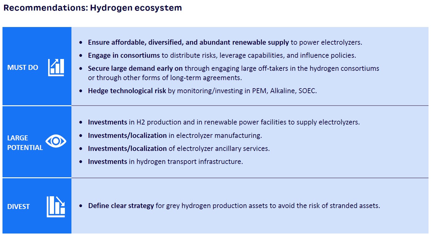 Recommendations: Hydrogen ecosystem