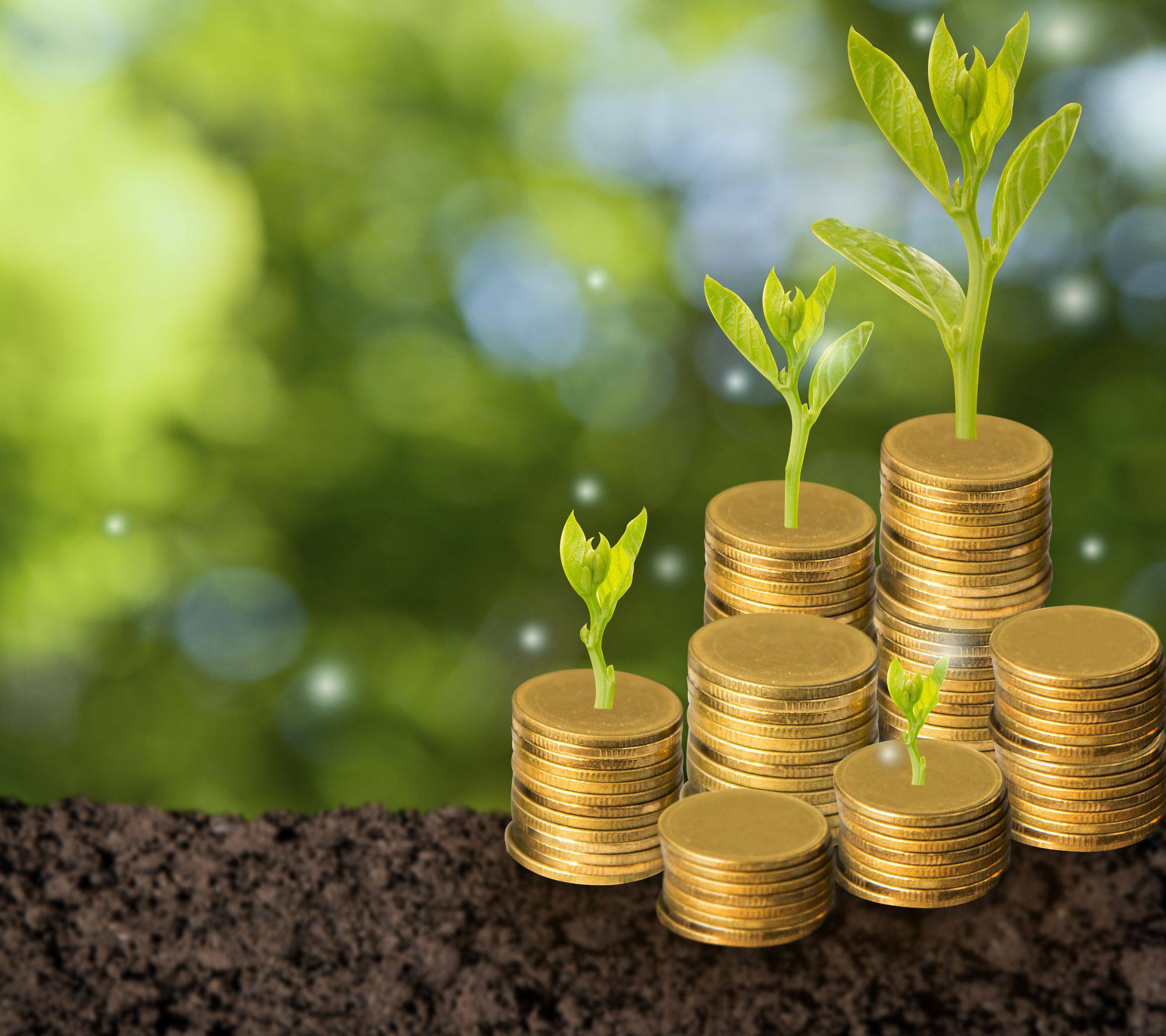 Value drivers for green banking