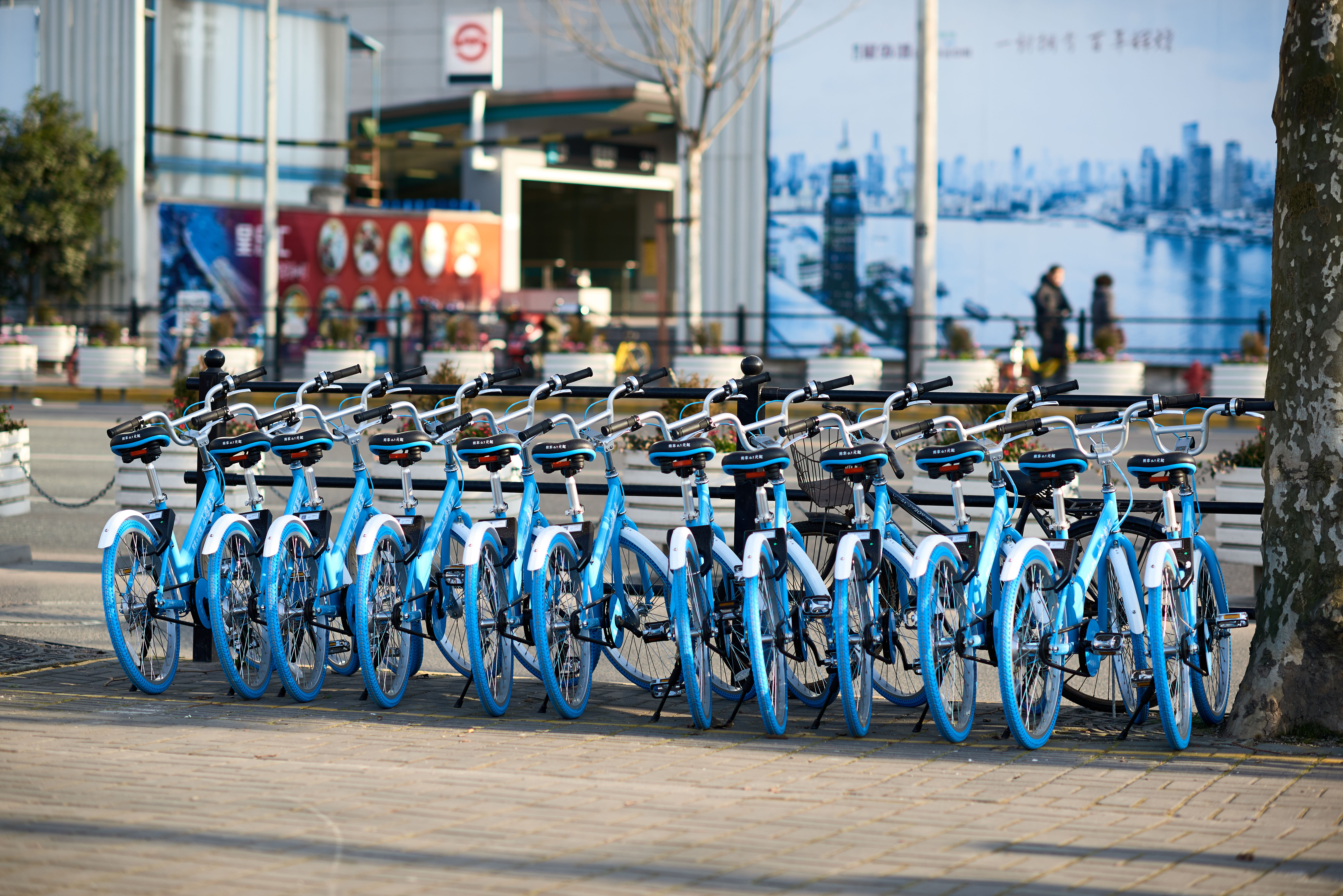 The rapid growth of bike sharing in China