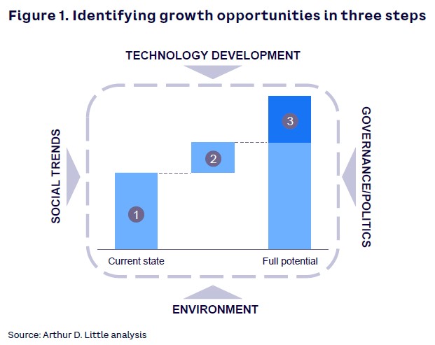 Figure 1. Identifying growth opportunities in three steps