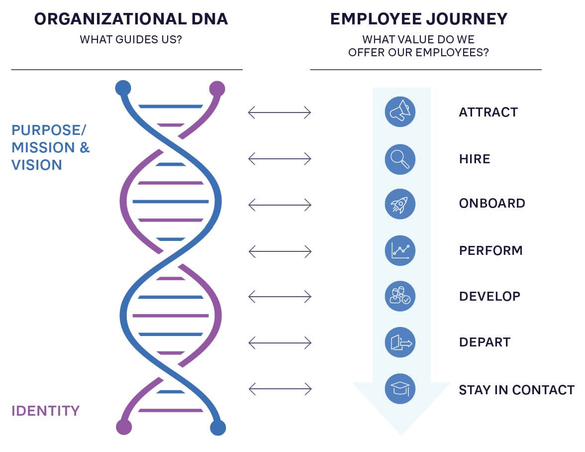 FIGURE 3: ORGANIZATIONAL DNA (PURPOSE AND IDENTITY) IN RELATION TO  THE EMPLOYEE JOURNEY 