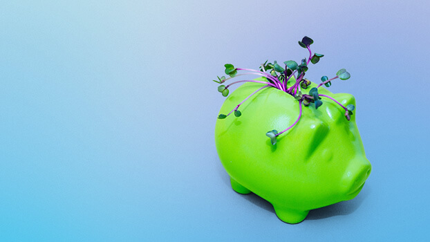 From green finance to greening finance